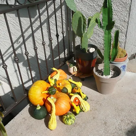 Frühstückspension La Jeancoise Nonville