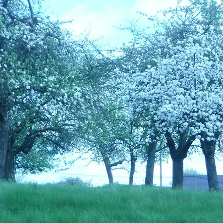 La Jeancoise Bed & Breakfast Nonville