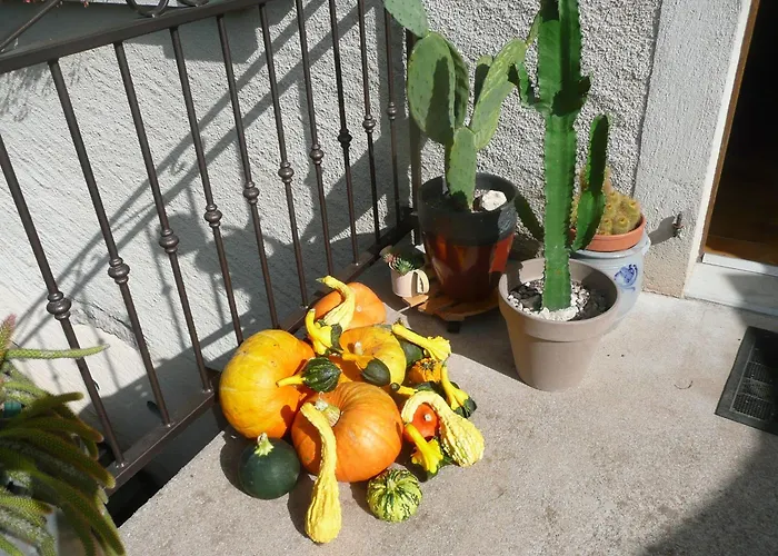 Bed & Breakfast La Jeancoise Nonville