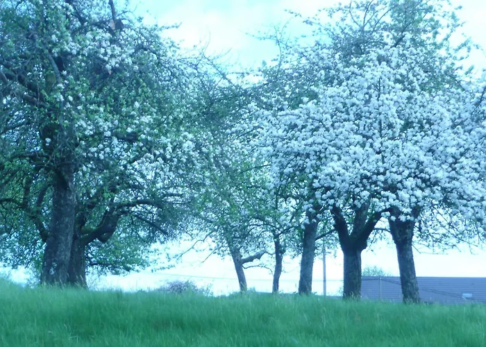 La Jeancoise Bed & Breakfast Nonville