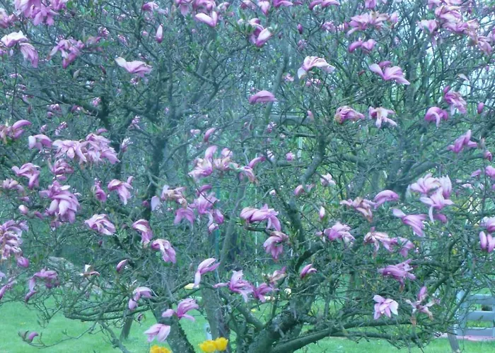 La Jeancoise Bed & Breakfast